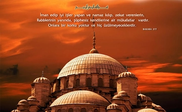 Zekat Ayetleri ve Anlamı